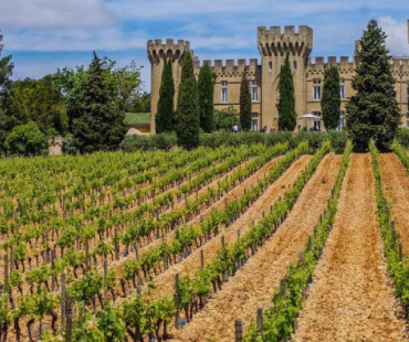 Vignobles du Vaucluse