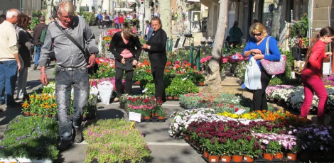 Le marché de Beaumes-de-Venise